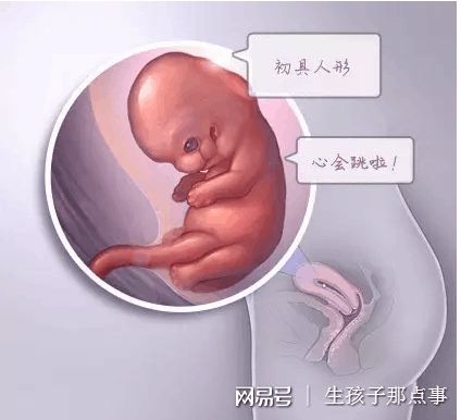 关于试管包生男孩医院